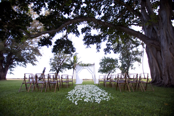 Chuppah under an enormous tree - wedding photo by Melissa Jill Photography